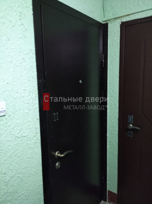 Фото установленной двери №217 в Дедовске