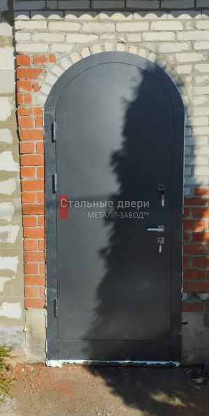 Фото установленной двери №368 в Дедовске