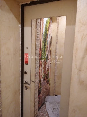 Фото установленной двери №216 в Дедовске