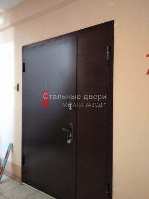 Фото установленной двери №238 в Дедовске