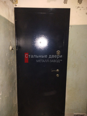 Фото установленной двери №381 в Дедовске
